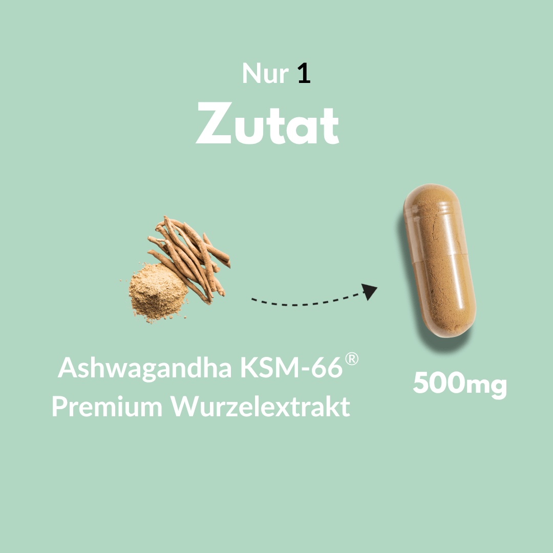 Ashwagandha Kapseln mit KSM-66 Premium Wurzelextrakt und 500mg Dosierung.