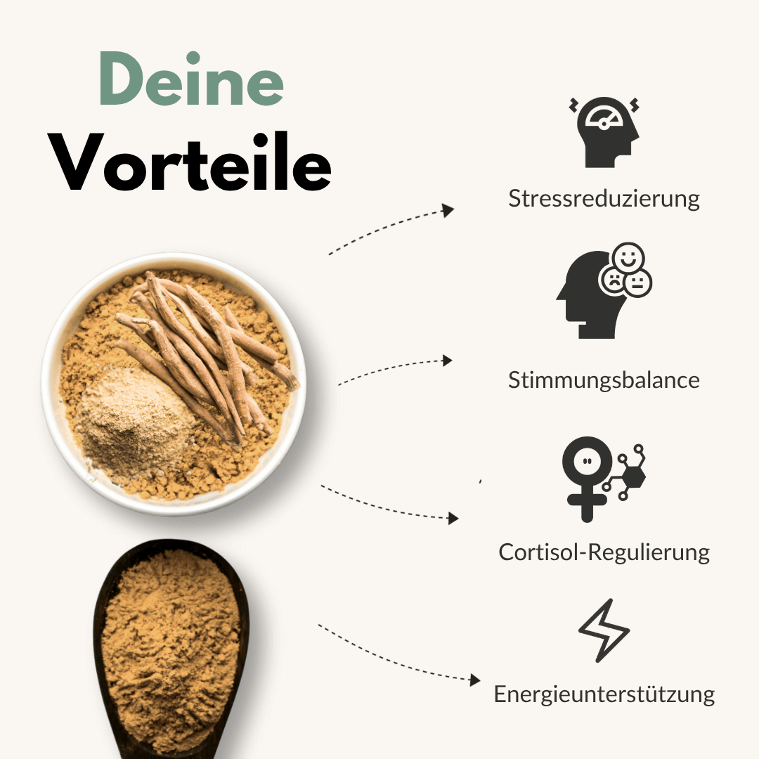 Vorteile von Ashwagandha Kapseln: Stressreduktion, Stimmungsbalance, Cortisol-Regulierung, Energieunterstützung.
