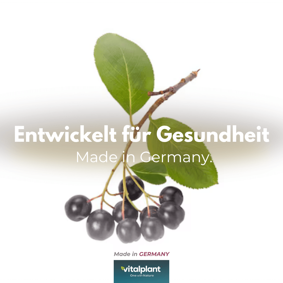 Bio Aronia – the power of the aronia berry for health, Made in Germany, vitaplants natural products.