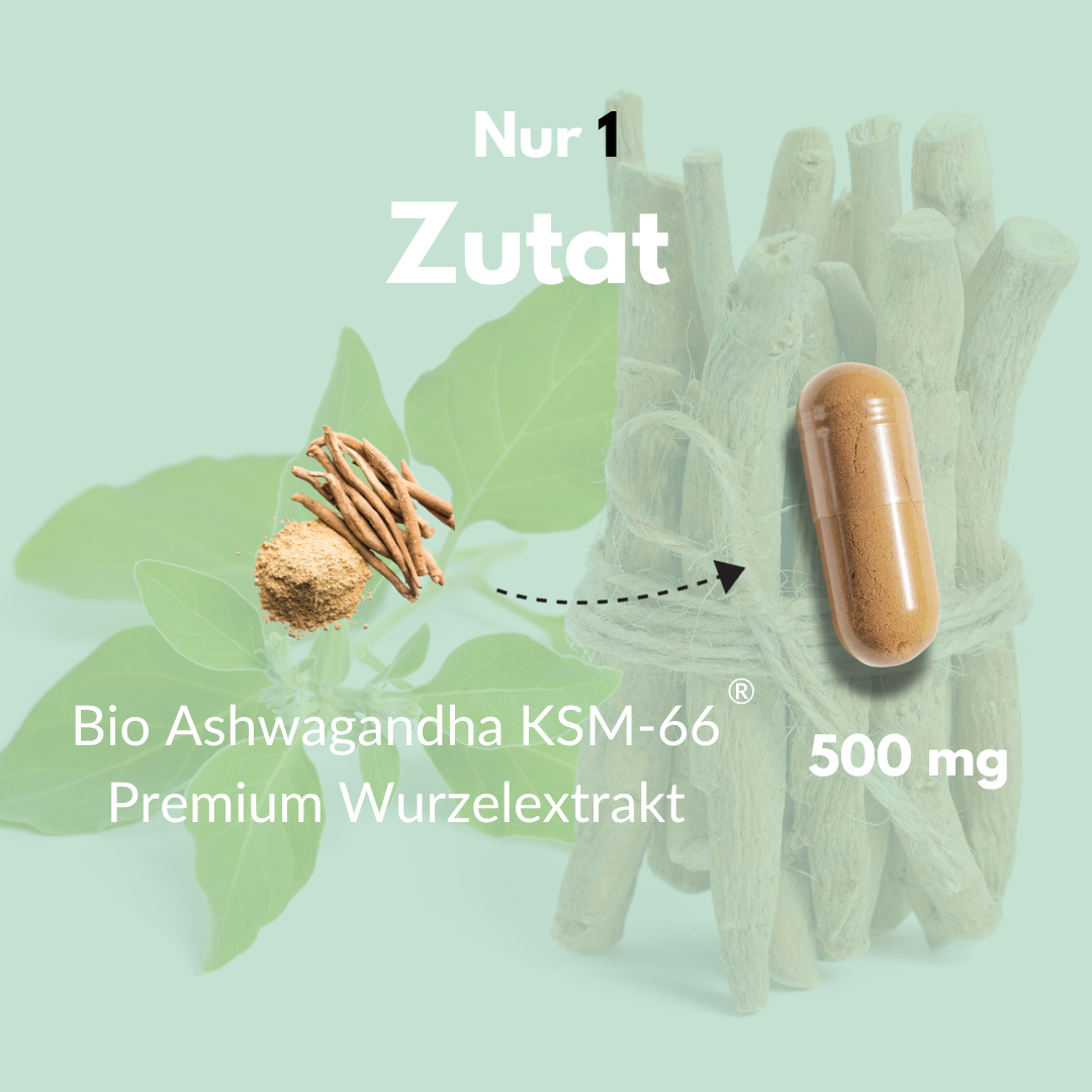 Bio Ashwagandha Kapseln