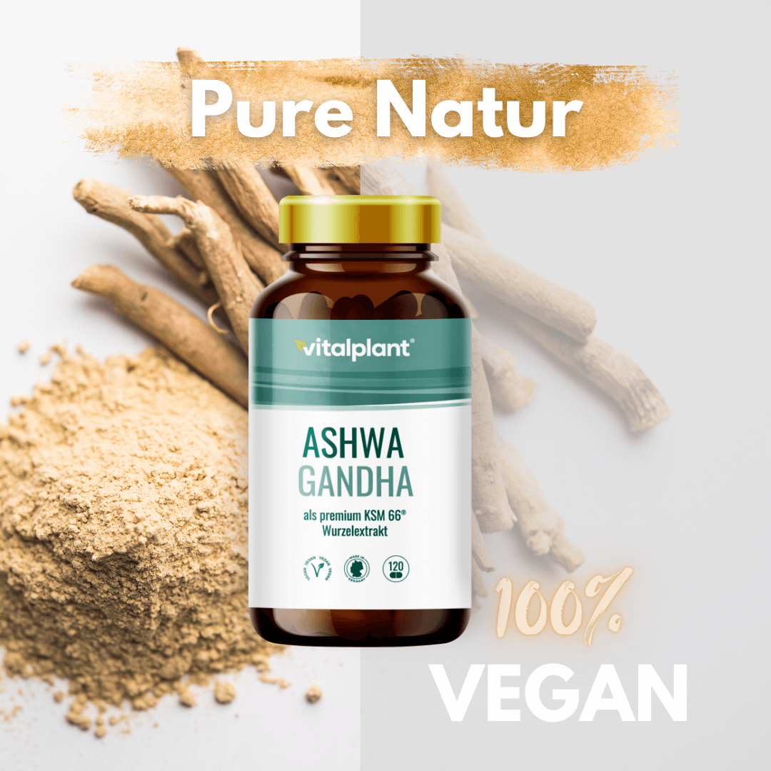 Bio Ashwagandha Kapseln mit reinem Ashwagandha-Wurzelextrakt, 100% vegan für Balance und Vitalität.