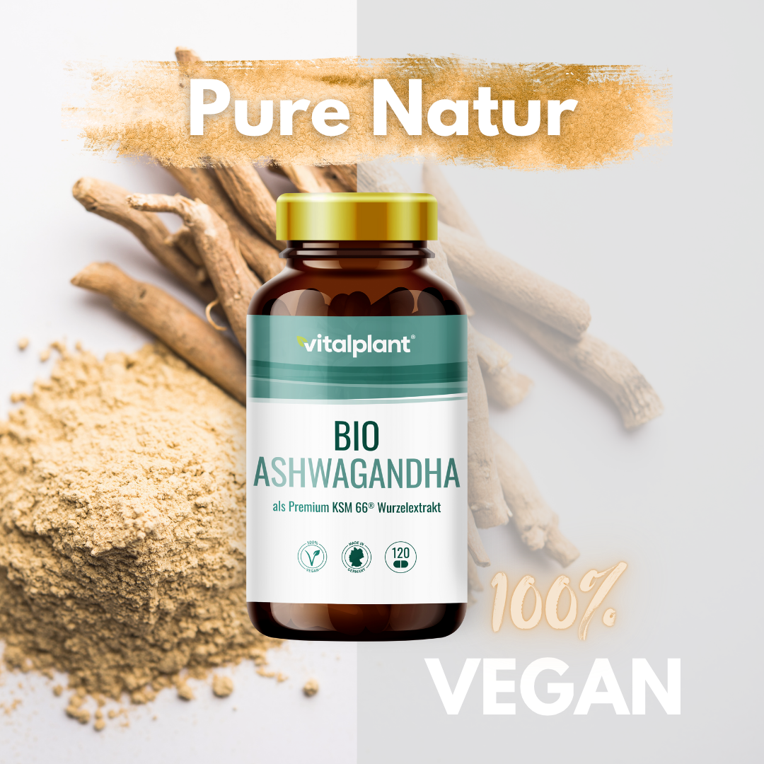 Ashwagandha Kapseln KSM66 in veganer Verpackung mit Wurzelextrakt und natürlichen Zutaten