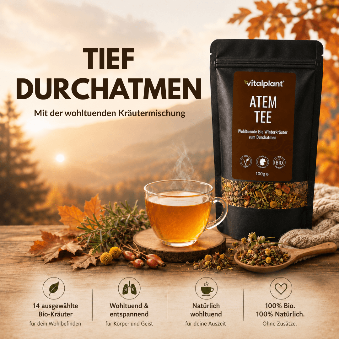 Bio Atem Tee – wohltuende Kräutermischung und aromatischer Tee in schöner Atmosphäre.
