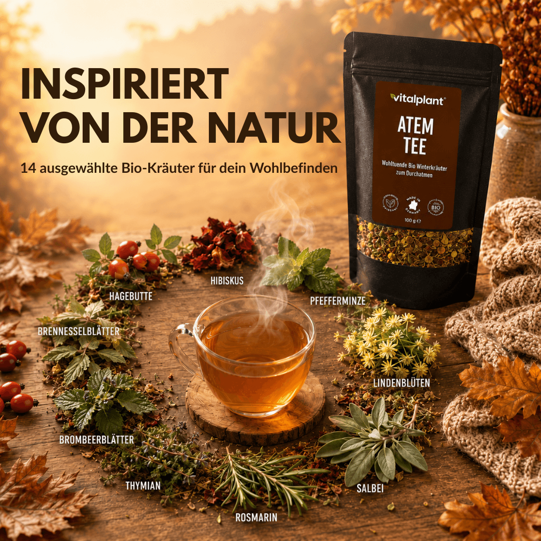 Bio Atem Tee - Erfrischender Kräutertee aus 14 ausgewählten Bio-Kräutern für dein Wohlbefinden.