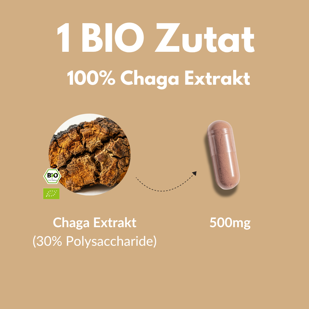 Bio Chaga Kapseln mit 100% Chaga Extrakt und 500mg Chaga Extrakt (30% Polysaccharide)