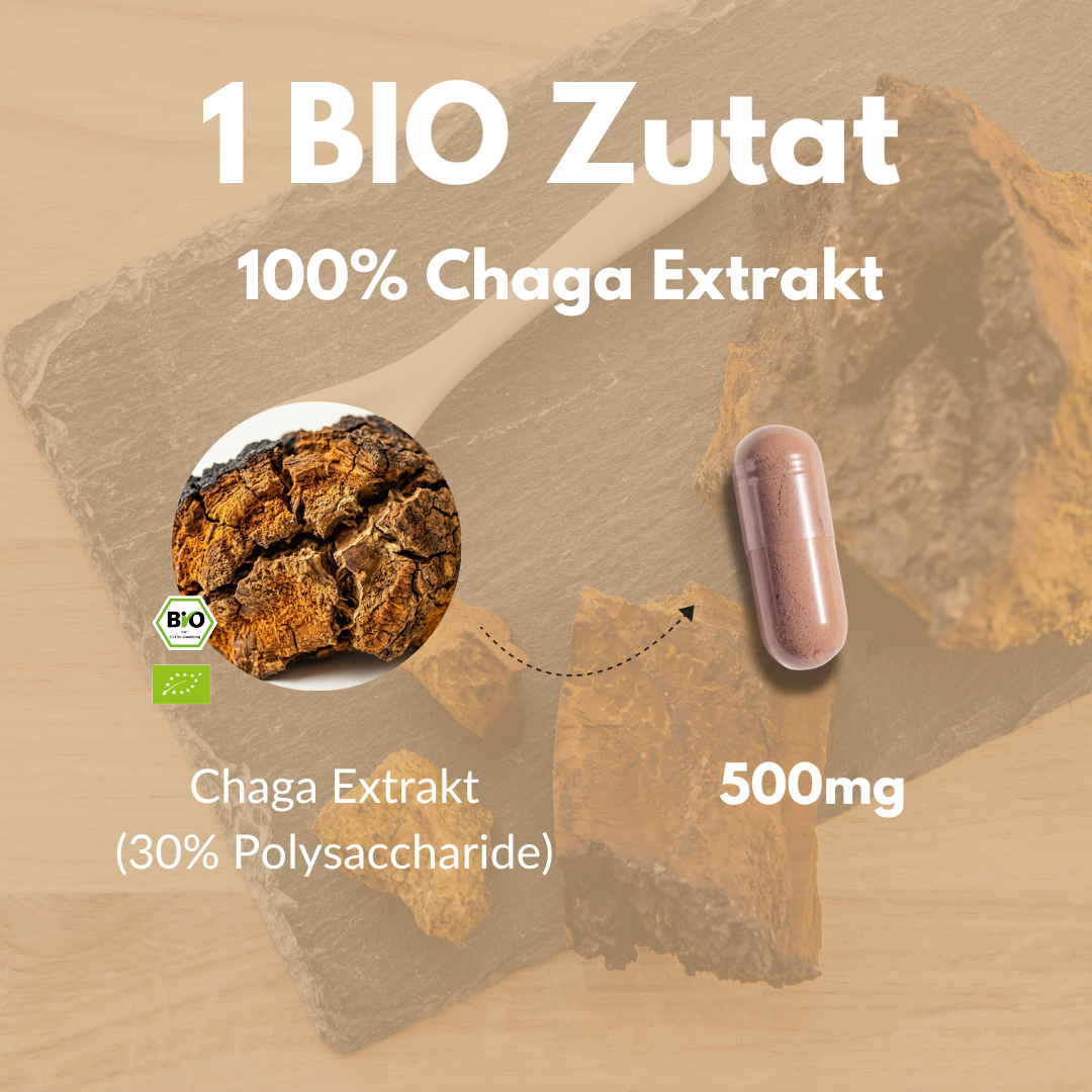 Bio Chaga Kapseln