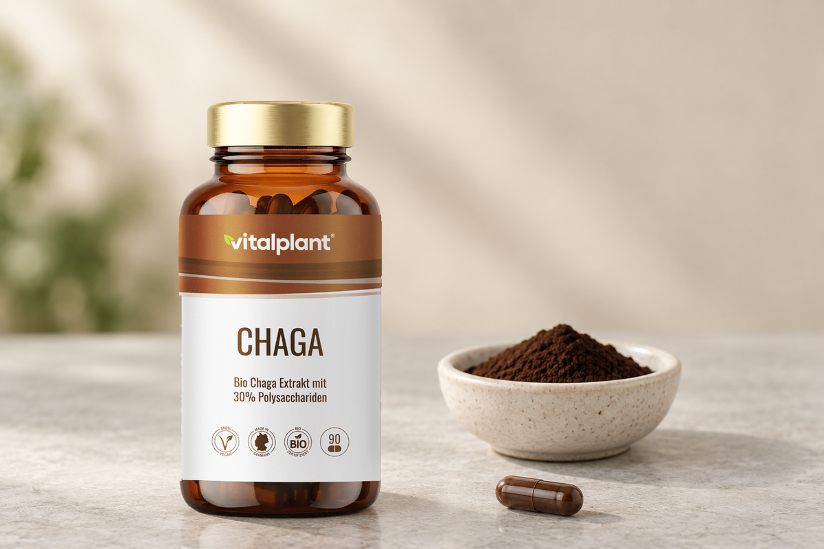 Bio Chaga Kapseln - 500 mg, eine Kapsel täglich