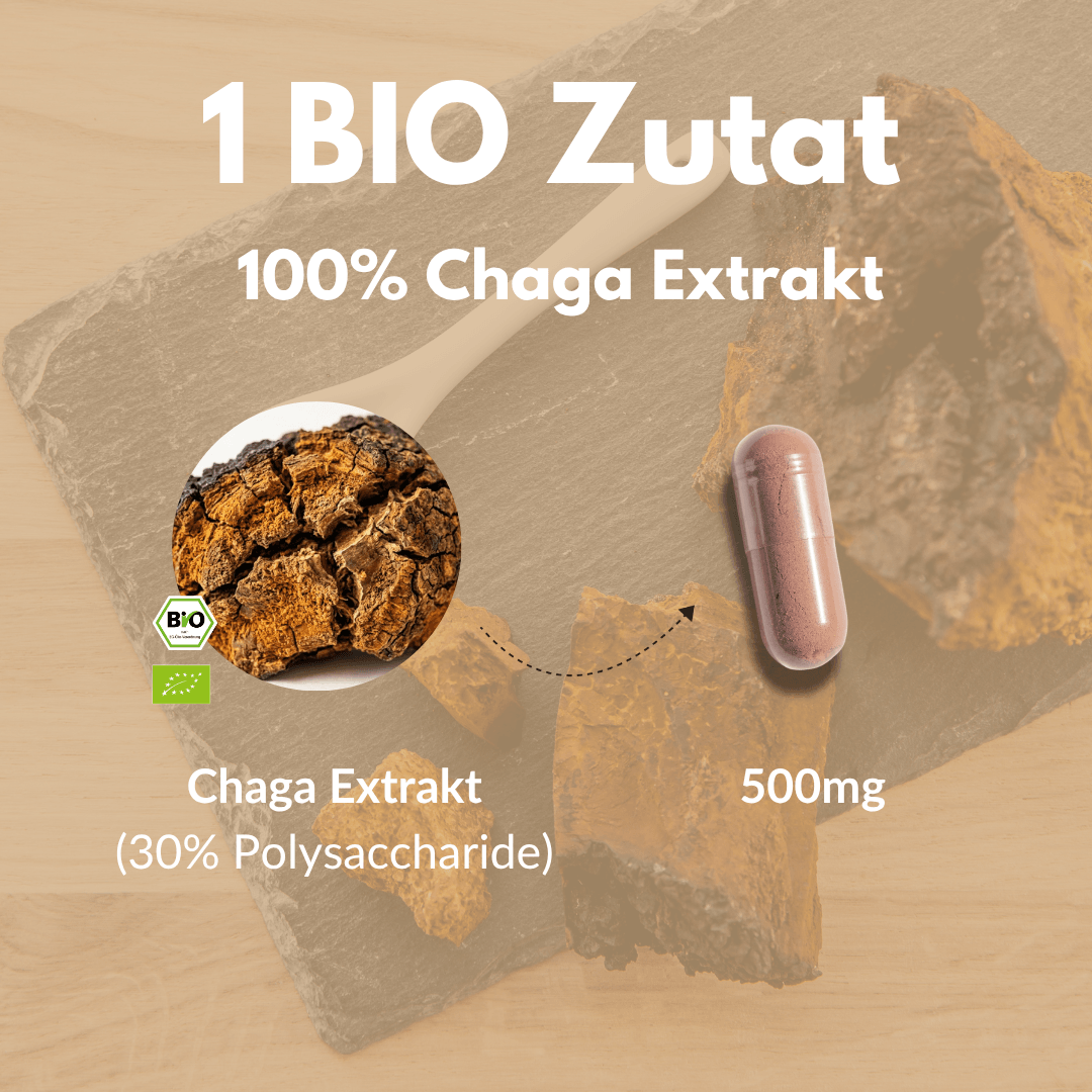 Bio Chaga Kapseln mit 100% Chaga Extrakt und 500mg Inhaltsstoff