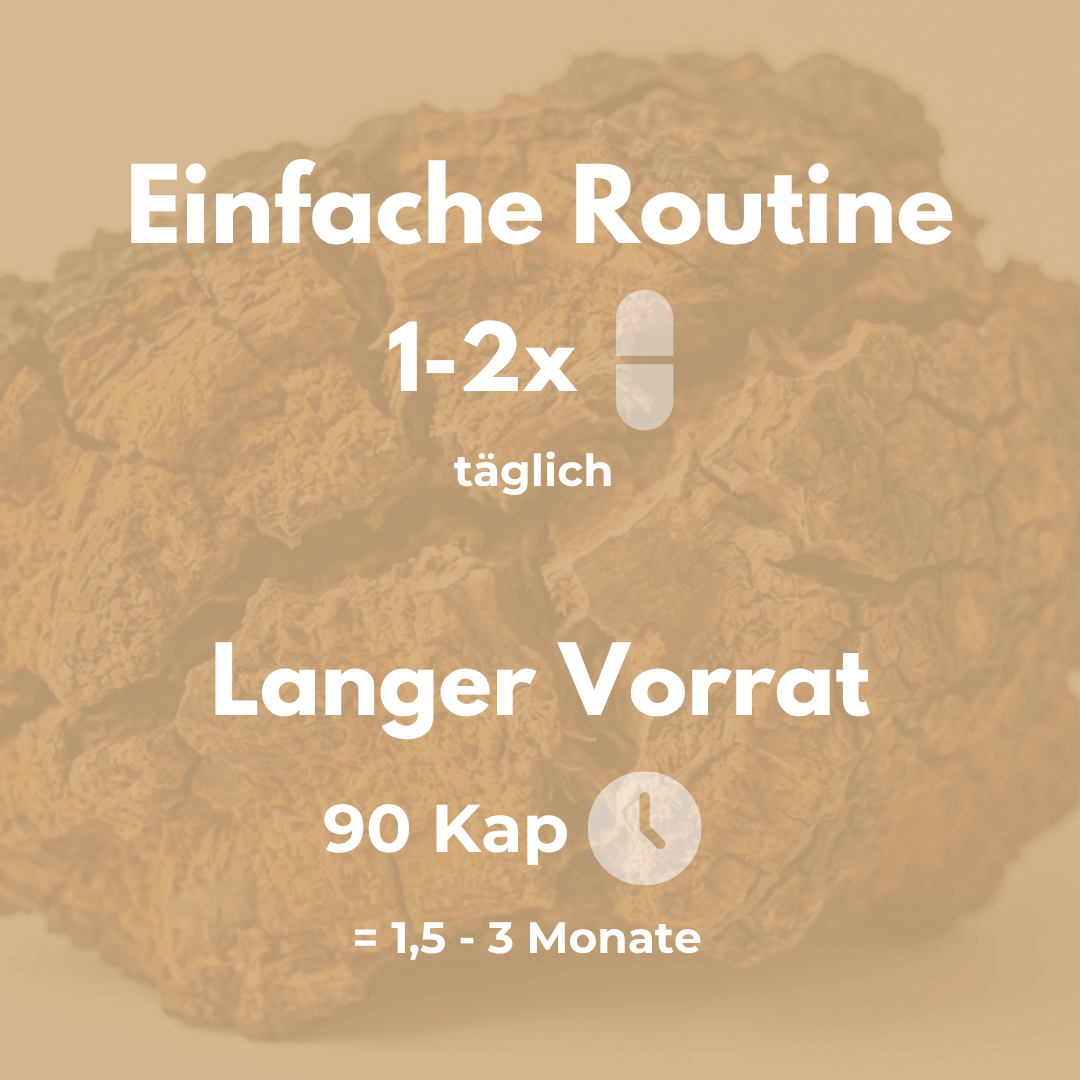 Bio Chaga Kapseln – einfache tägliche Routine und langer Vorrat für 1,5-3 Monate.