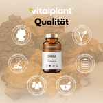 Bio Chaga Kapseln von Vitalplant in Bio-Qualität, vegan, ohne unerwünschte Zusätze.