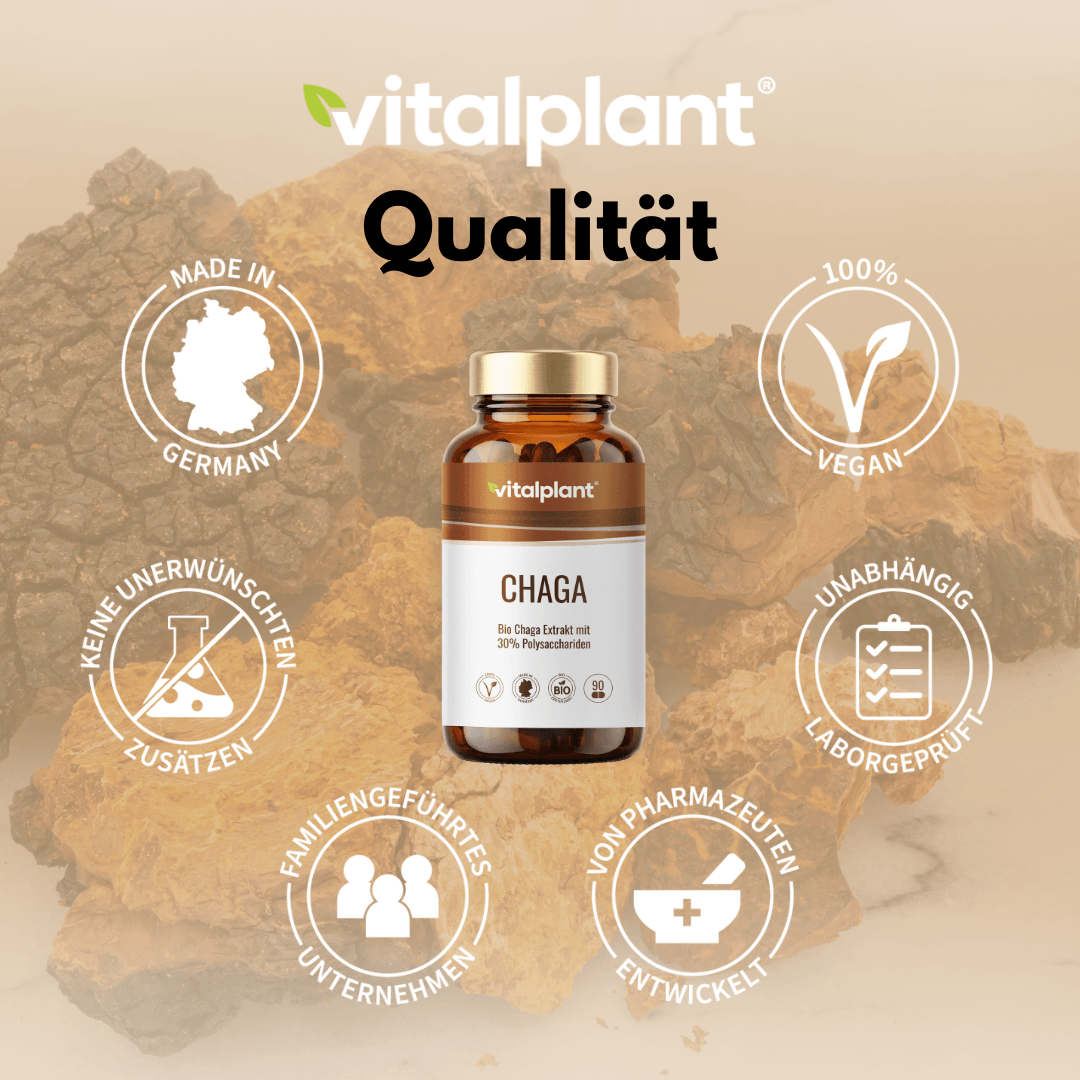 Bio Chaga Kapseln von Vitalplant in Bio-Qualität, vegan, ohne unerwünschte Zusätze.