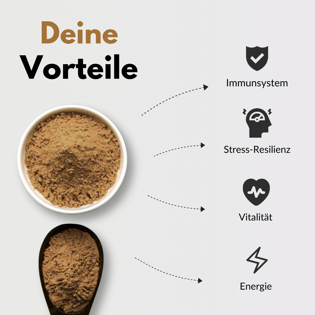 Bio Chaga Vorteile: Immunstärkung, Stressresilienz, Vitalität, Energie aus biologischem Chaga-Pilz.