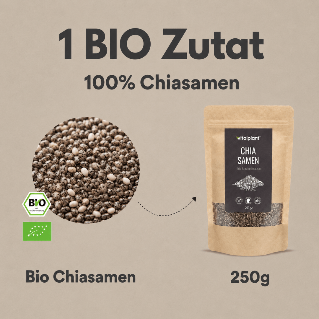 Bio Chiasamen in 250g Verpackung von Vitalplant, 100% naturbelassen aus Mexiko
