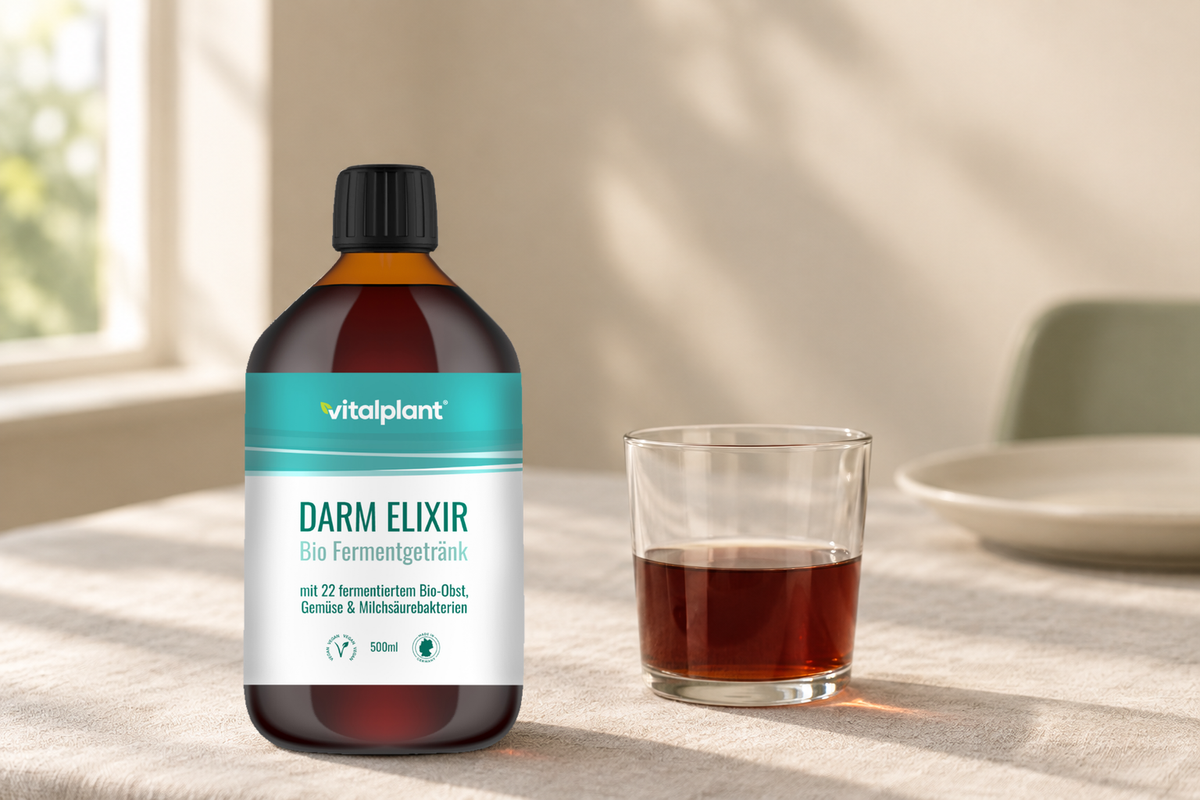 Bio Darm Elixier Fermentgetränk - 15 ml am Morgen