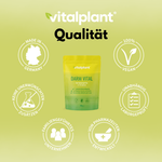 Bio Darm Vital Pulver von Vitalplant – Premium Ballaststoffkomplex in umweltfreundlicher Verpackung, vegan.