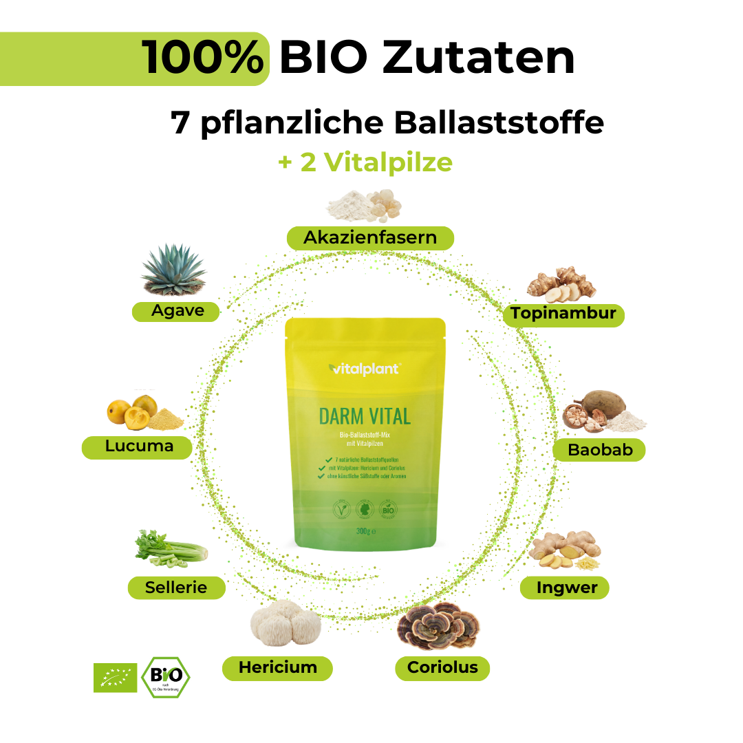 Bio Darm Vital Pulver mit 7 pflanzlichen Ballaststoffen und 2 Vitalpilzen von Vitalplant