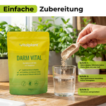 Bio Darm Vital Pulver in der Zubereitung mit Wasser und Vitalpilzen, einfach zu verwenden.