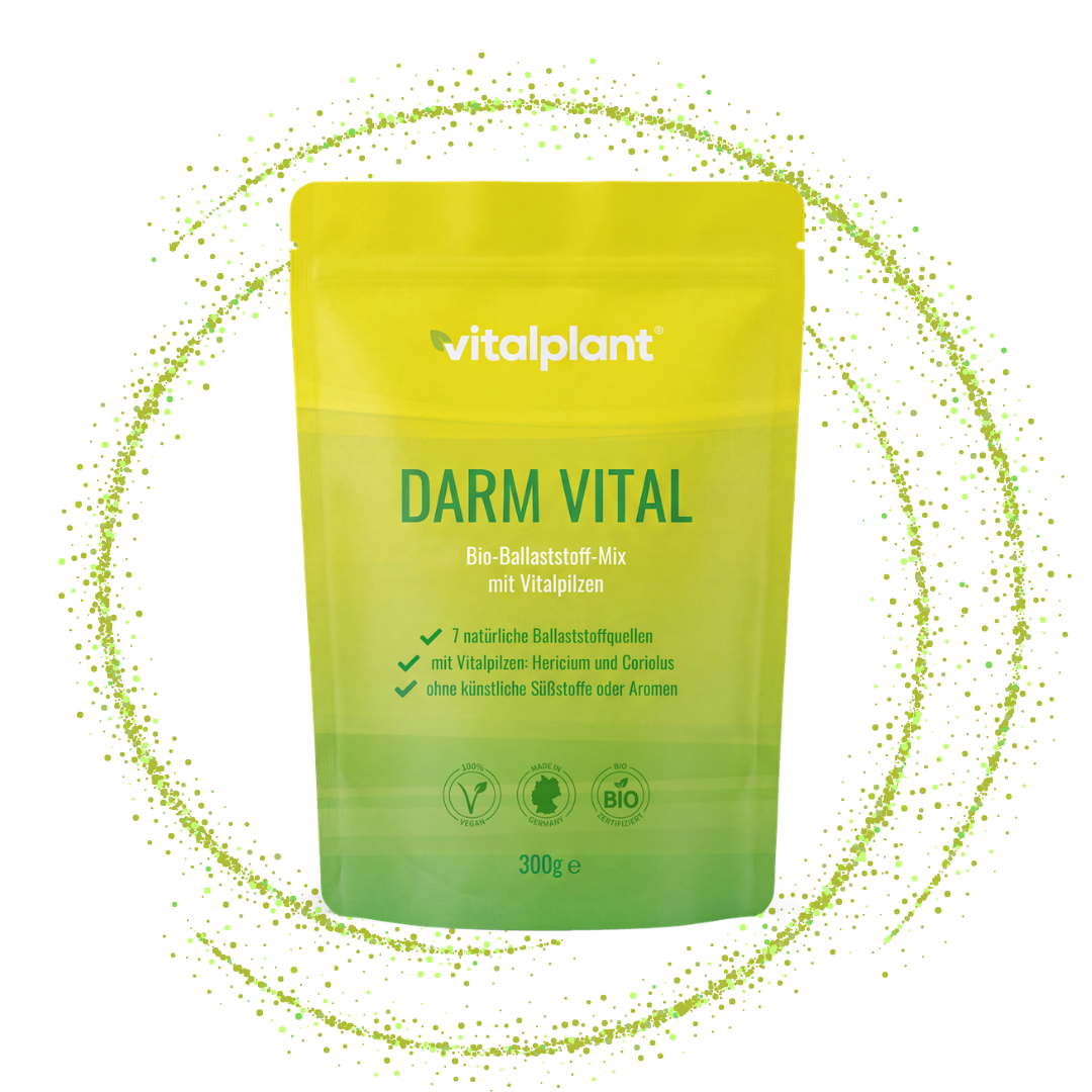 Bio Darm Vital Pulver – Bio-Ballaststoff-Mix mit 7 Superfood Quellen und Vitalpilzen von Vitalplant