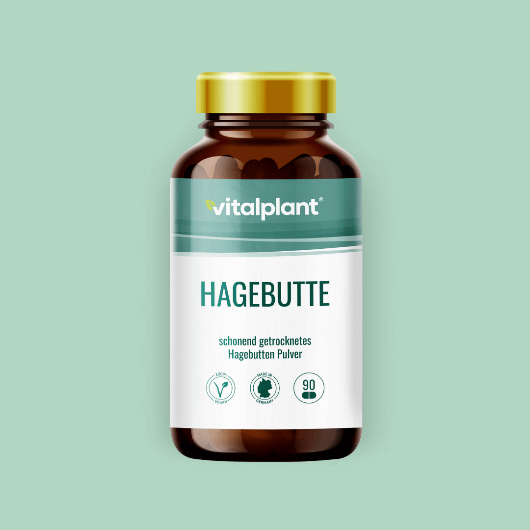 Bio Hagebutte Kapseln von vitalplant, 90 Stück, natürliche Quelle von Vitamin C, schonend getrocknetes Hagebutten Pulver.