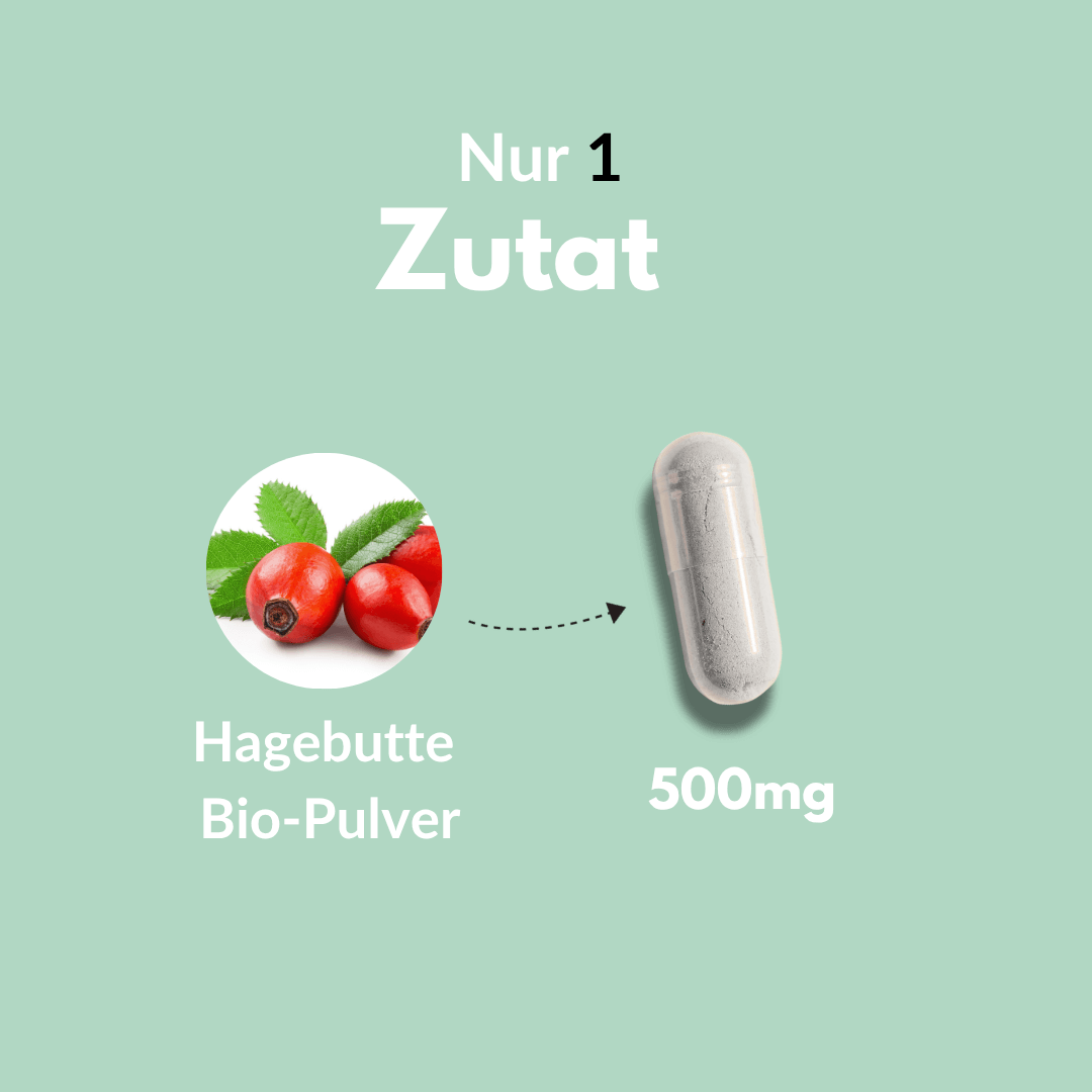 Organic rosehip capsules with 500 mg organic powder and fresh rosehips.