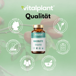 Bio Hagebutte Kapseln von Vitalplant in deutscher Qualität mit veganen Zutaten und ohne unerwünschte Zusatzstoffe.