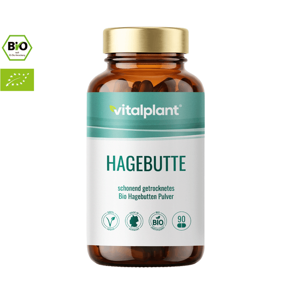 Bio Hagebutte – Kapseln mit schonend getrocknetem Bio Hagebutten Pulver 500 mg in einem Glasbehälter von vitalplant.