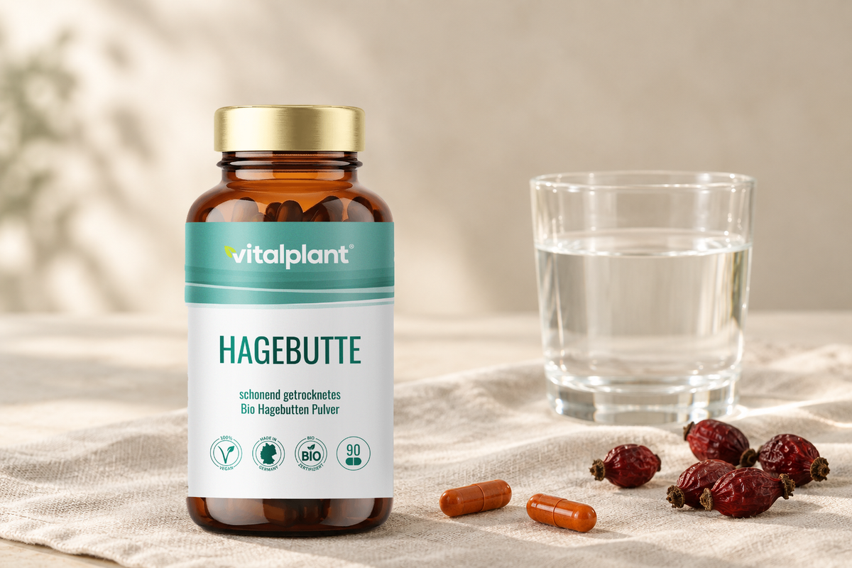 Bio Hagebutte Kapseln - 500 mg Bio-Pulver je Kapsel
