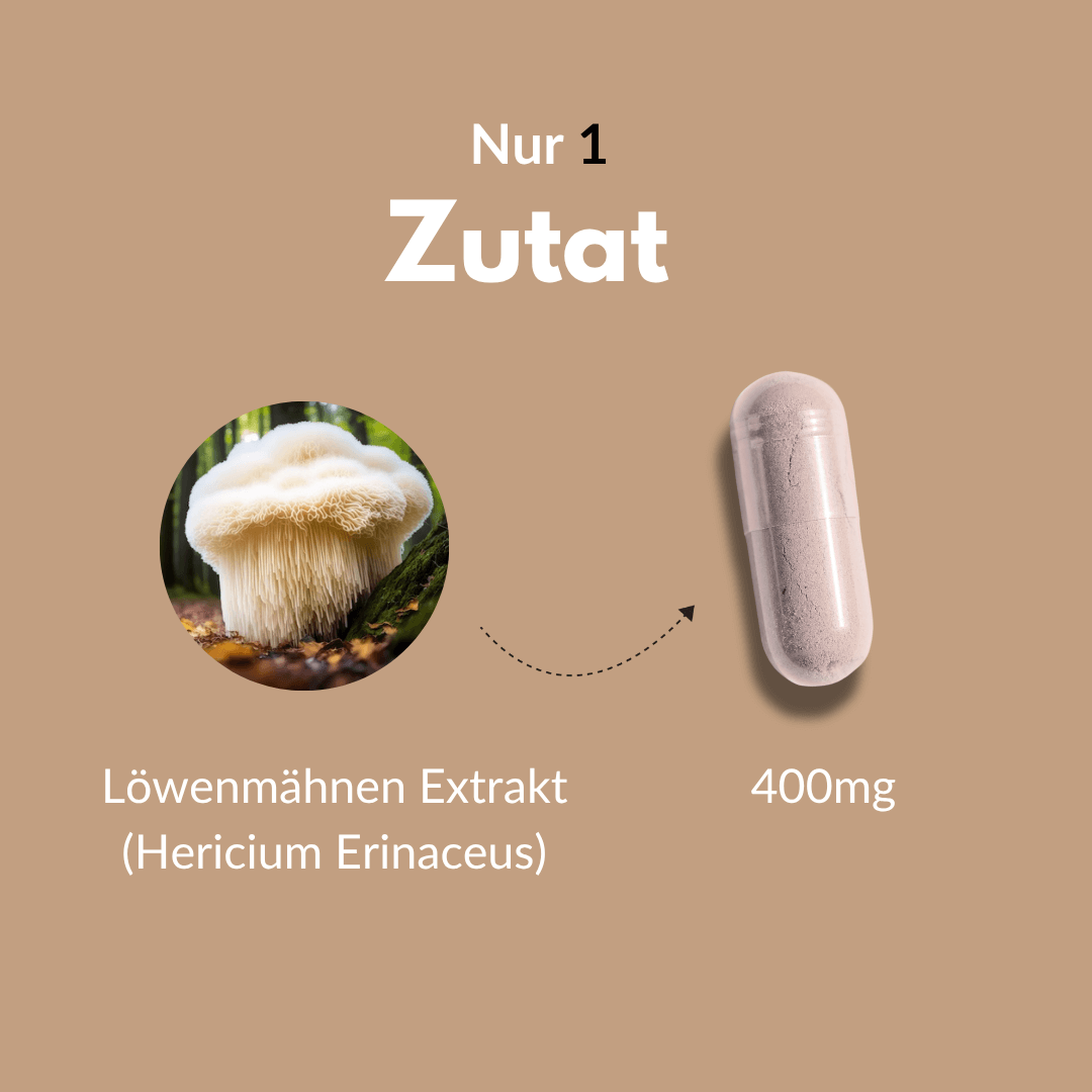 Bio Hericium (Löwenmähne) Kapsel mit 400 mg Löwenmähnen Extrakt (Hericium Erinaceus)