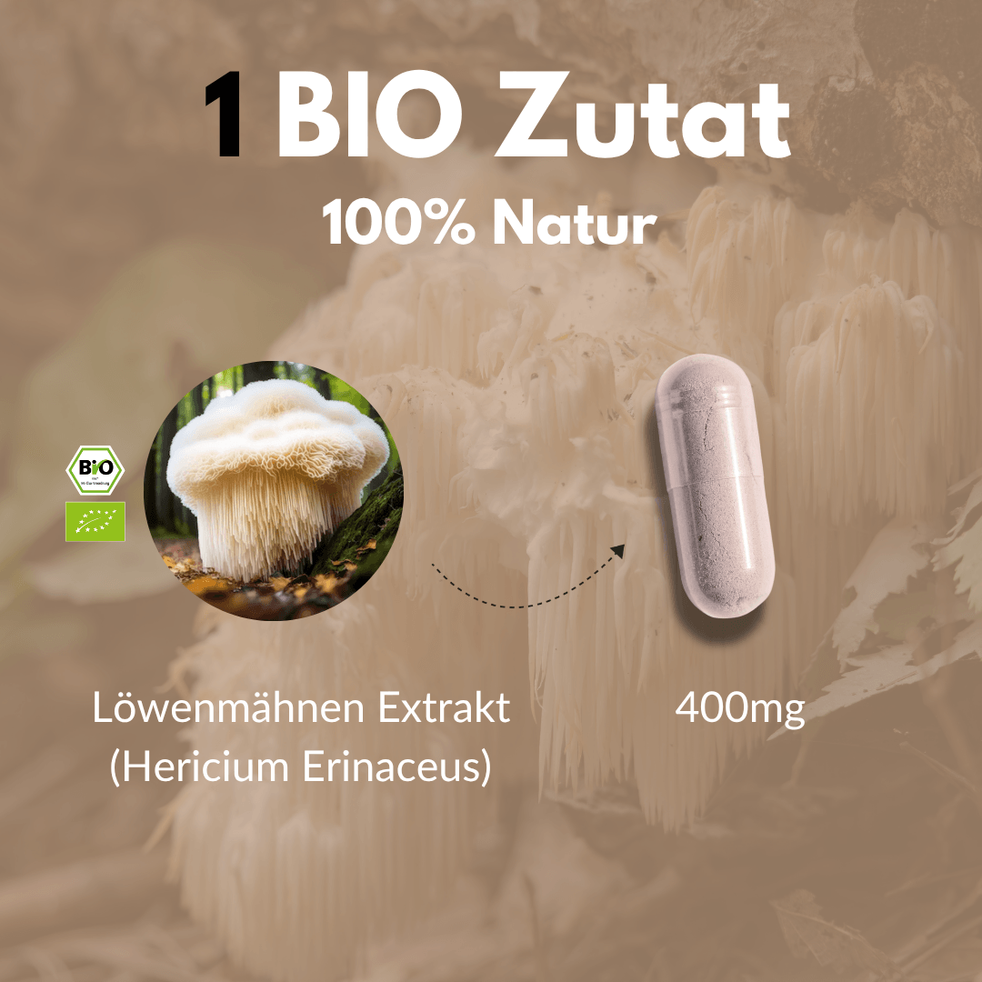 Organic Hericium (Lion's Mane) capsules with 400mg lion's mane extract (Hericium erinaceus)