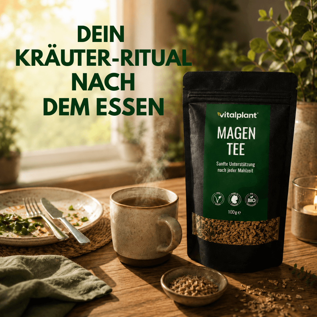 Bio Magen Tee in einer Kräuter-Ritual Szene mit einer Tasse Tee und Kräutern auf einem Tisch.