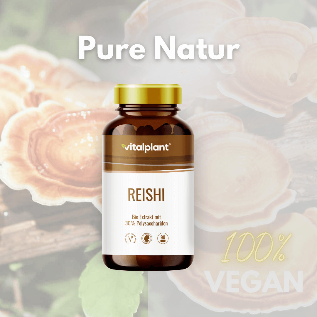 Reishi Kapseln in einem veganen, hochwertigen Bio-Reishi-Extrakt mit 30% Polysacchariden.