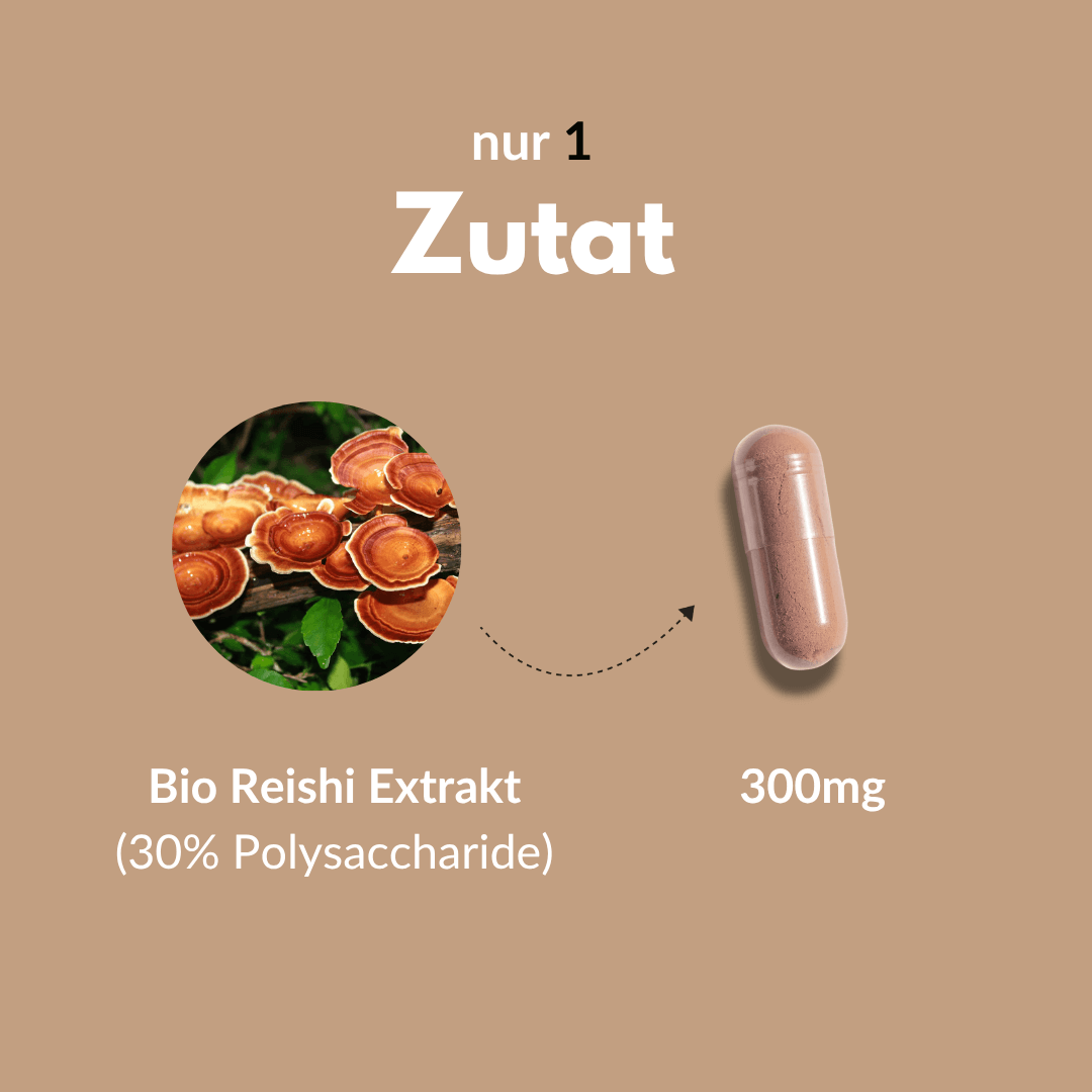 Reishi Kapseln mit Bio Reishi Extrakt, 300mg, aus legendärem Pilz der Unsterblichkeit.