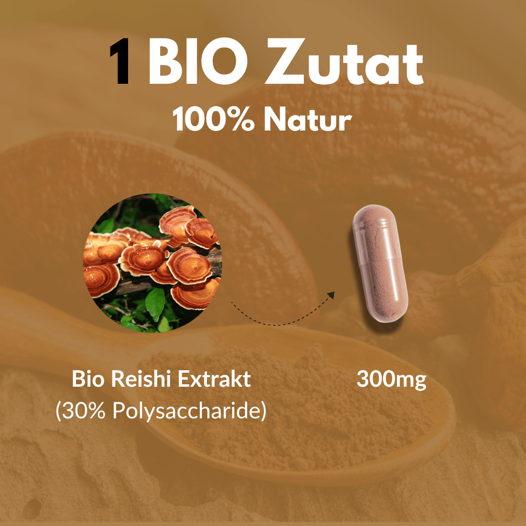 Bio Reishi Extrakt Kapseln mit 300mg aus Bio Zutaten für natürliche Gesundheit.