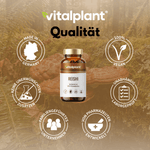 Bio Reishi capsules from vitalplant in certified organic quality, vegan and free from unwanted additives.