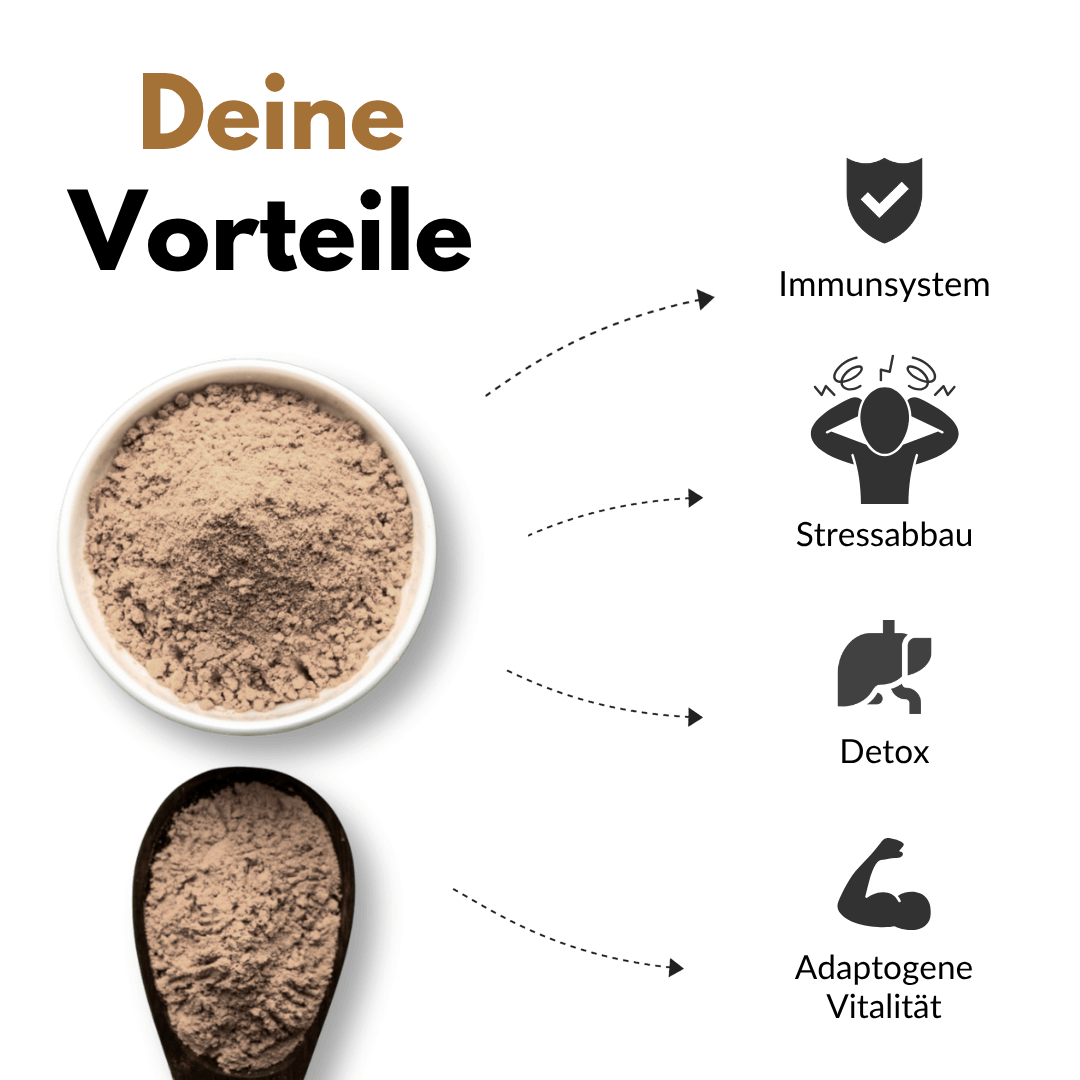 Bio Reishi Pulver in einer Schale mit Vorteilen für Immunsystem, Stressabbau, Detox und Adaptogene Vitalität.