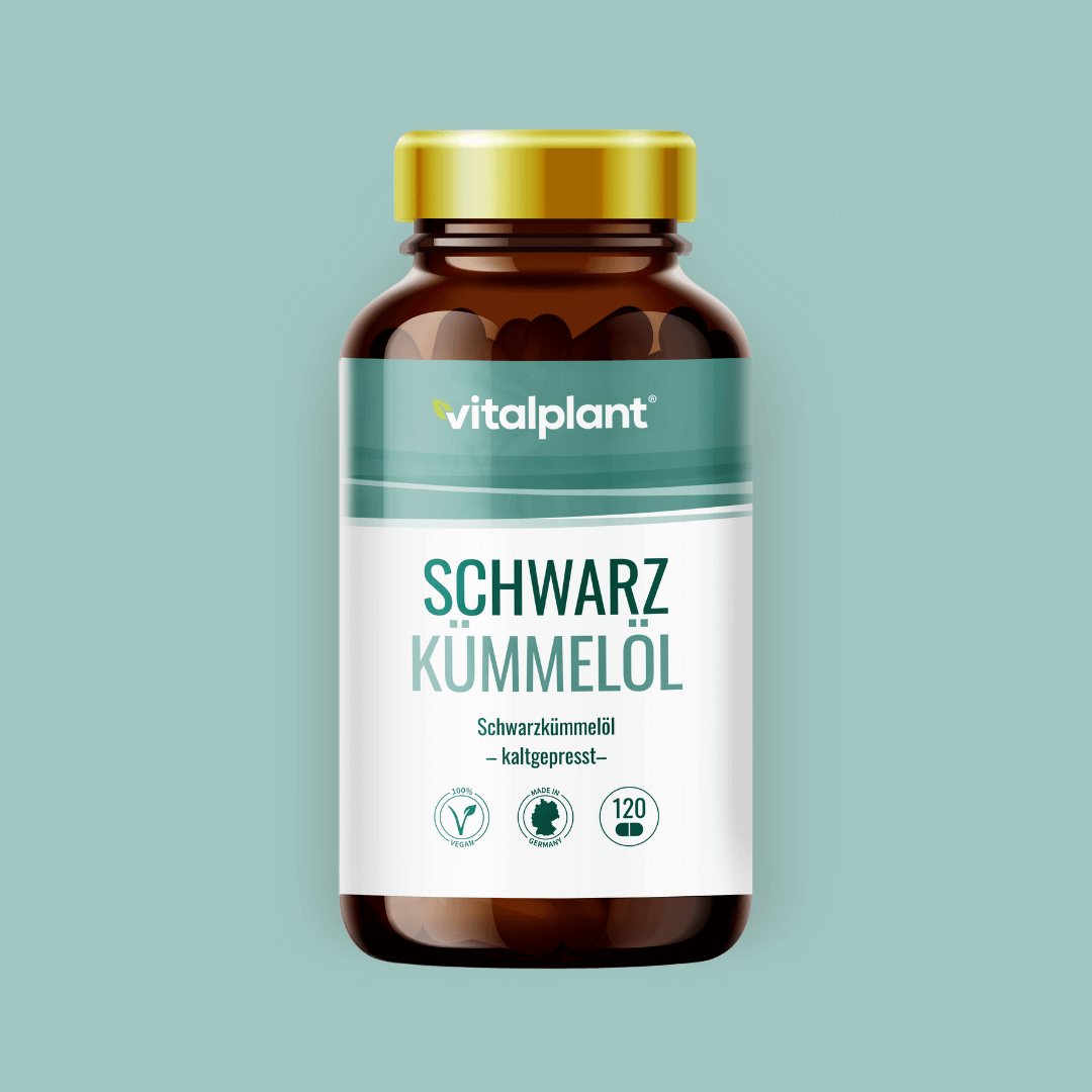 Bio Schwarzkümmelöl Kapseln von Vitalplant in einer 120-Kapseln-Flasche auf mintgrünem Hintergrund.