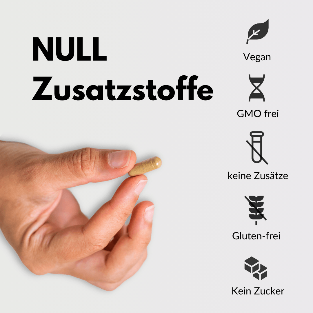 Bio Schwarzkümmelöl Kapsel in Hand, NULL Zusatzstoffe, vegan, glutenfrei, keine Zusätze, kein Zucker