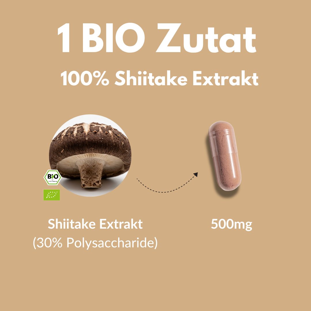 Bio Shiitake Kapseln mit Shiitake Extrakt, 100% Bio und 500mg pro Kapsel.