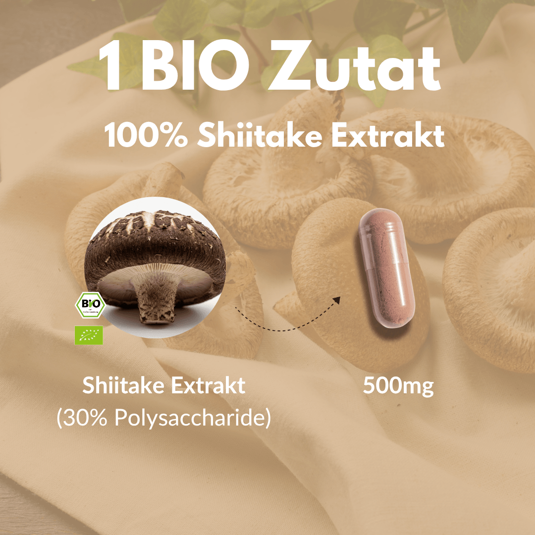 Bio Shiitake Kapseln mit 100% Shiitake Extrakt und 500mg Dosierung auf einem Tisch.