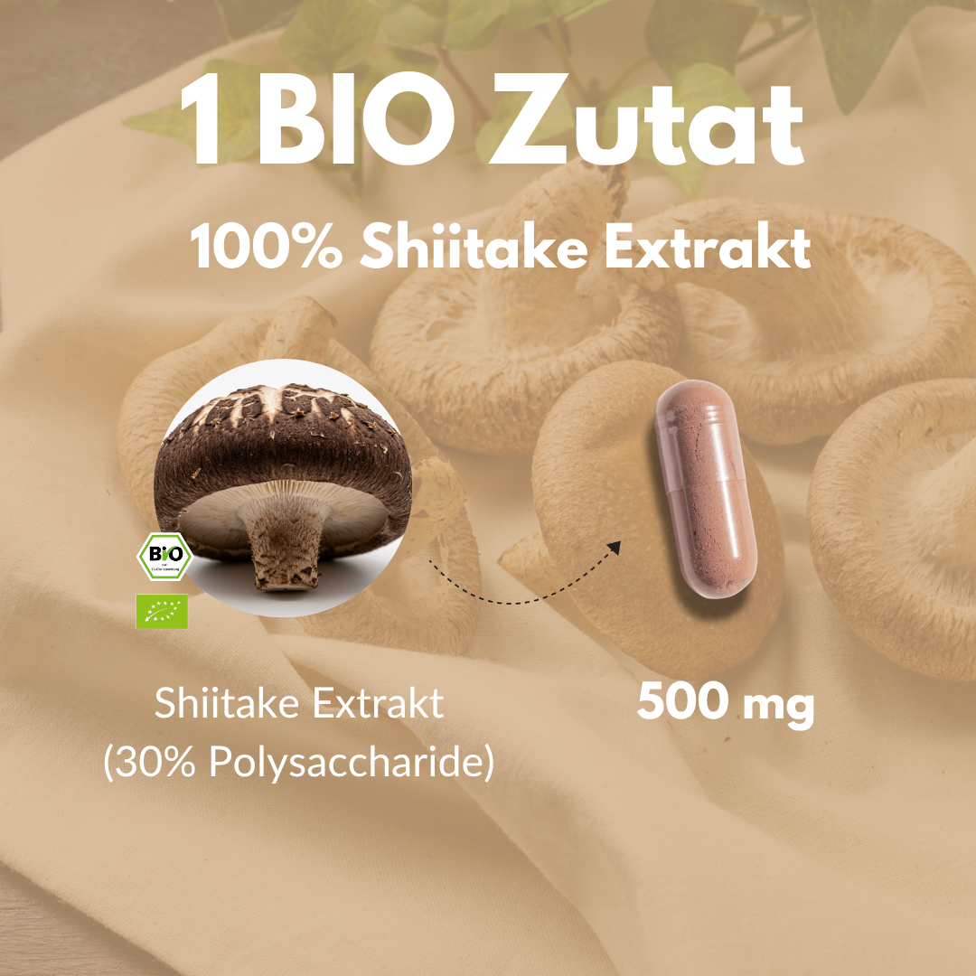 Bio Shiitake Kapseln