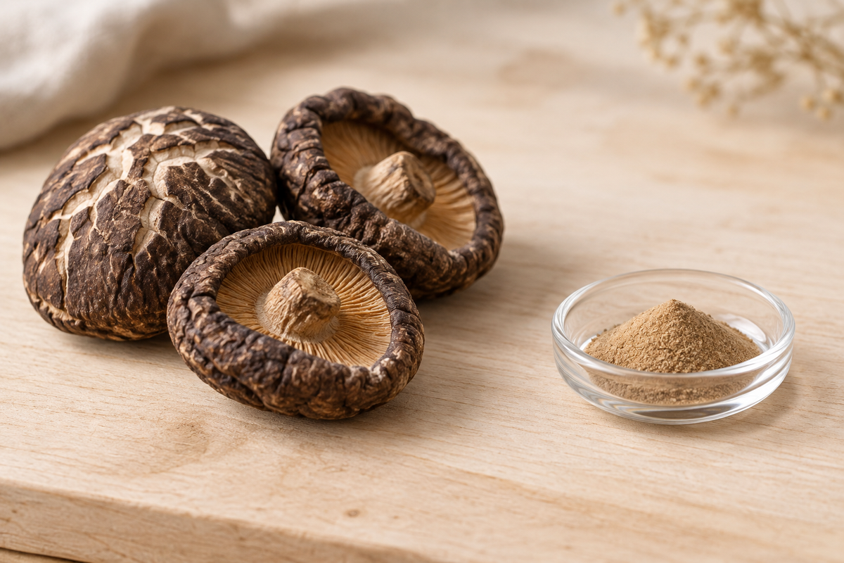 Aus dem Hut wird Pulver, Bio Shiitake Kapseln