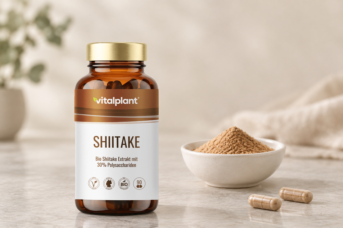 Bio Shiitake Kapseln - 500 mg, zwei Kapseln täglich