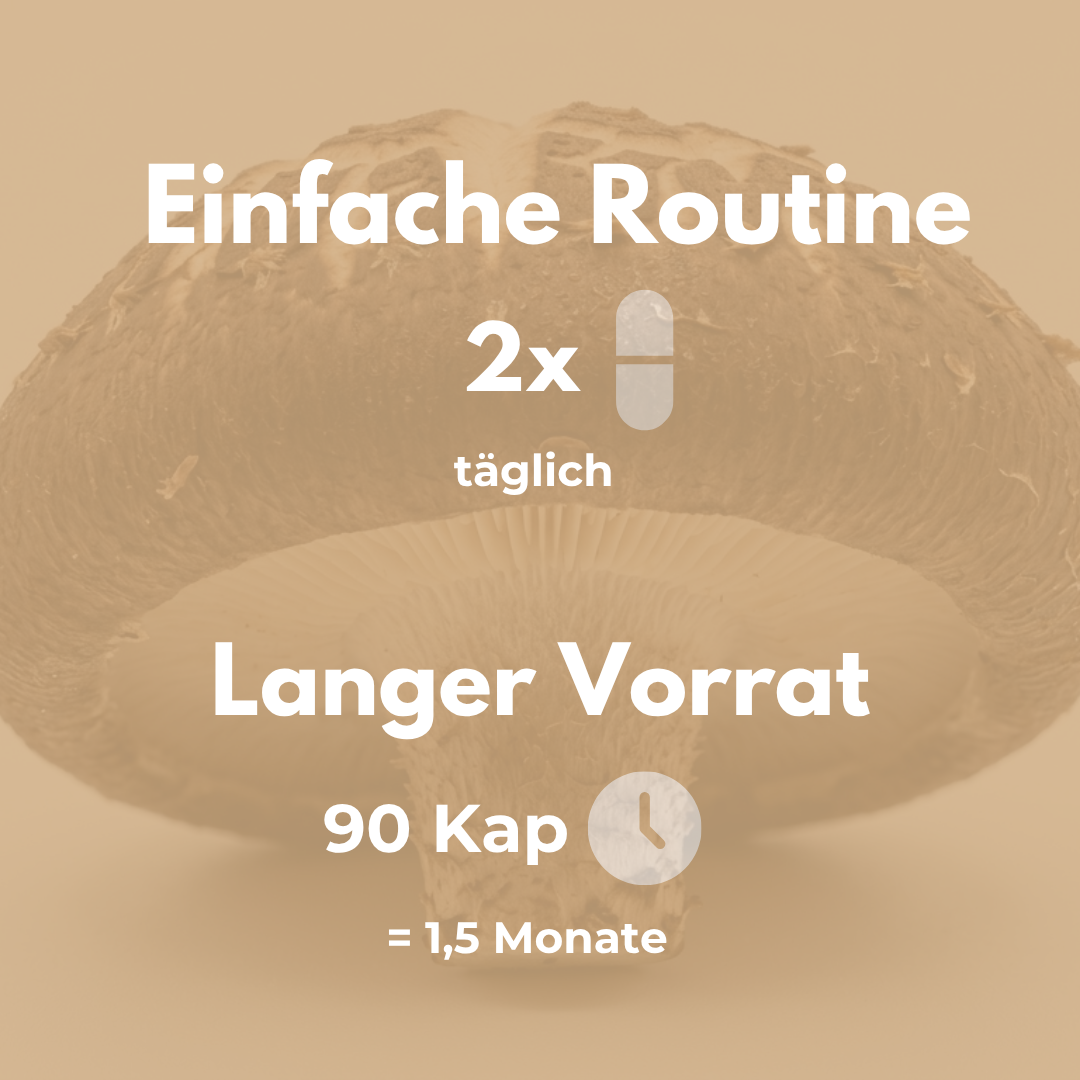 Organic shiitake capsules for an easy routine, 90 capsules, 1.5 months' supply.