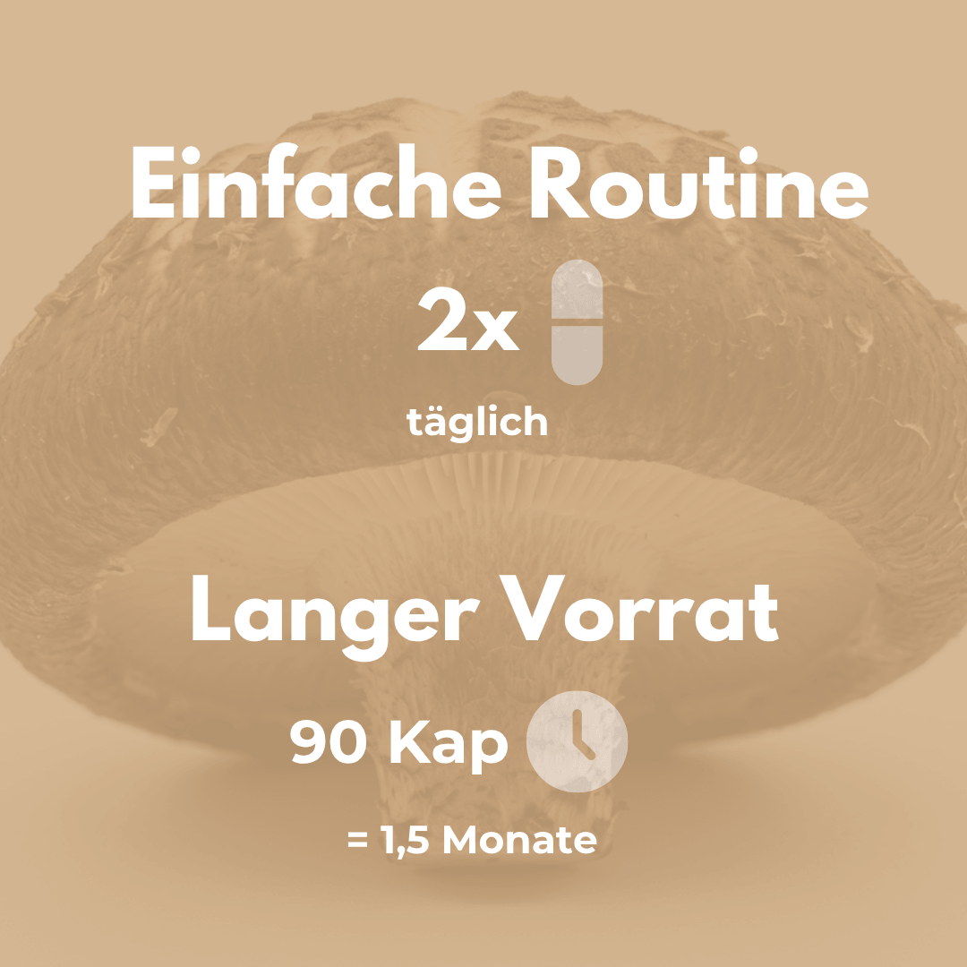 Bio Shiitake Kapseln für einfache Routine, 90 Kapseln, 1,5 Monate Vorrat.