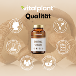 Organic Shiitake capsules by vitalplant with quality seal and Shiitake mushrooms in the background.