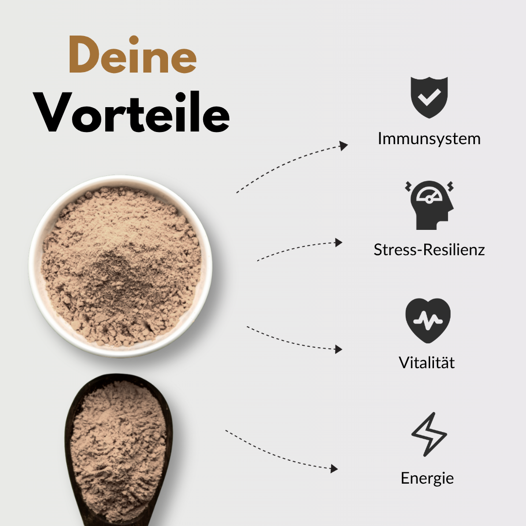 Bio Vitalpilze Komplex Pulver mit Vorteilen für Immunsystem, Stress-Resilienz, Vitalität und Energie.
