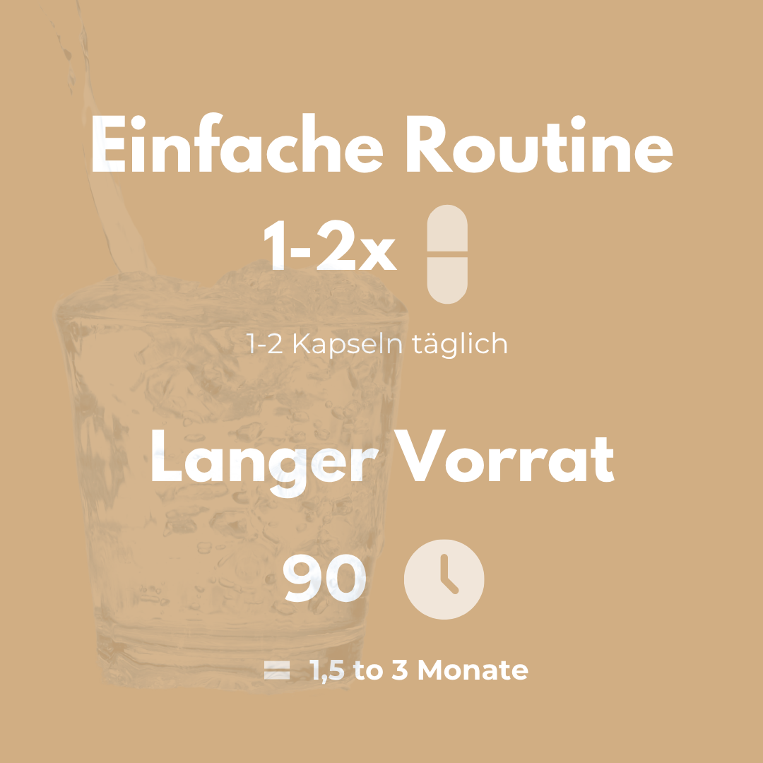 Bio Vitalpilze Komplex - Einfache Routine mit 1-2 Kapseln täglich für bis zu 3 Monate Vorrat.