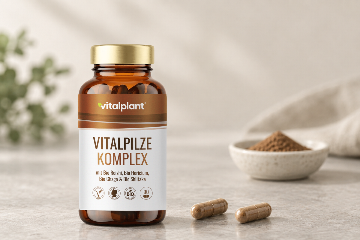Bio Vitalpilze Komplex Kapseln - Zwei Kapseln am Tag