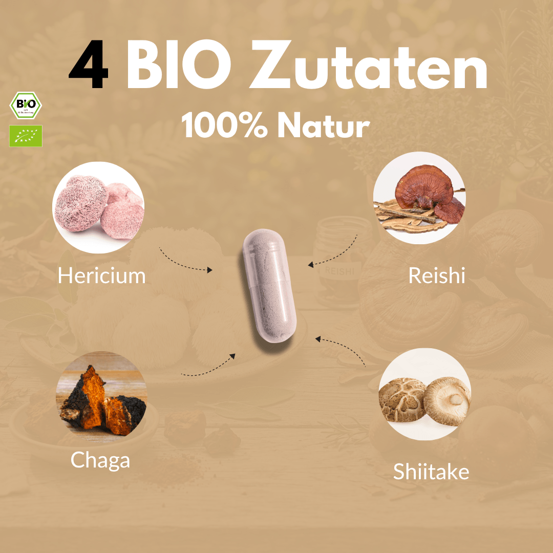 Bio Vitalpilze Komplex – Hericium, Reishi, Chaga und Shiitake in einer Kapsel, 100% natürliche Zutaten.