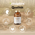 Organic mushroom complex with ingredients from chaga, reishi, shiitake, and lion's mane.